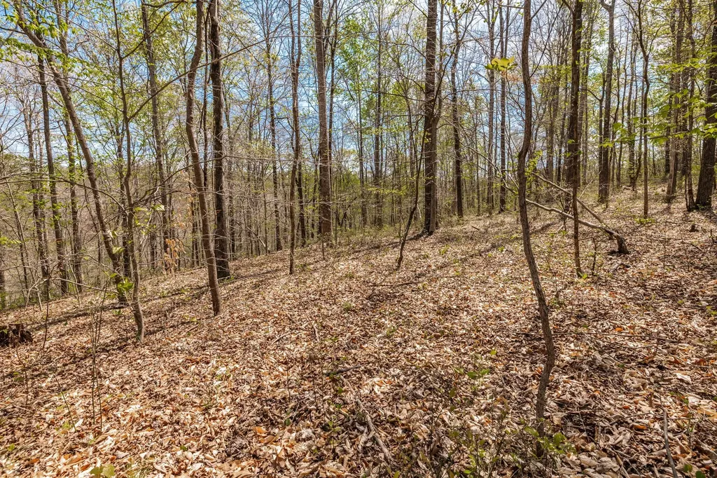 0 Mound Creek Road Kingston Springs TN 37082