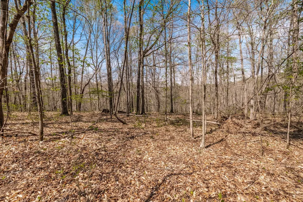 0 Mound Creek Road Kingston Springs TN 37082