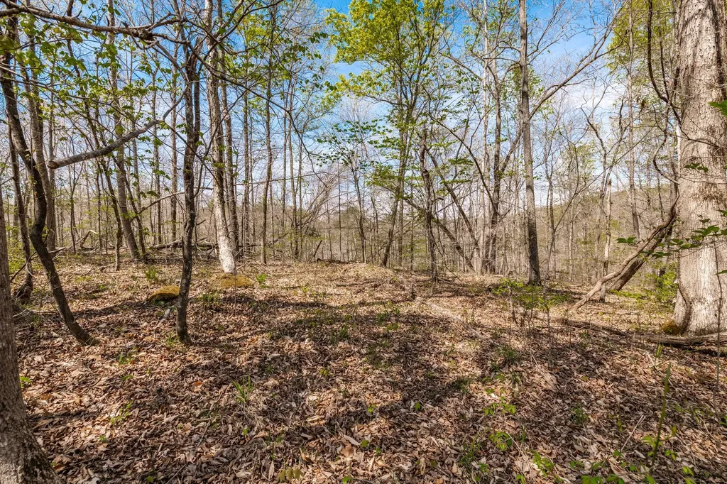 0 Mound Creek Road Kingston Springs TN 37082
