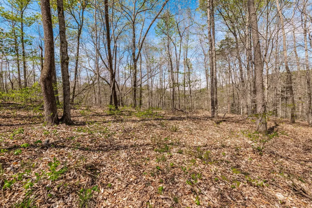 0 Mound Creek Road Kingston Springs TN 37082