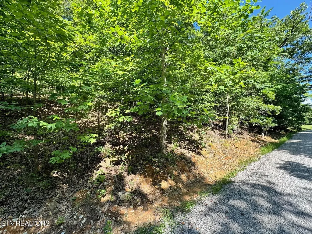 626 N Pointe Trail Allons TN 38541