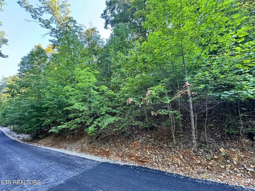 626 N Pointe Trail Allons TN 38541