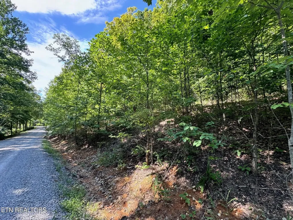 626 N Pointe Trail Allons TN 38541