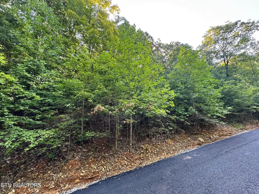 626 N Pointe Trail Allons TN 38541