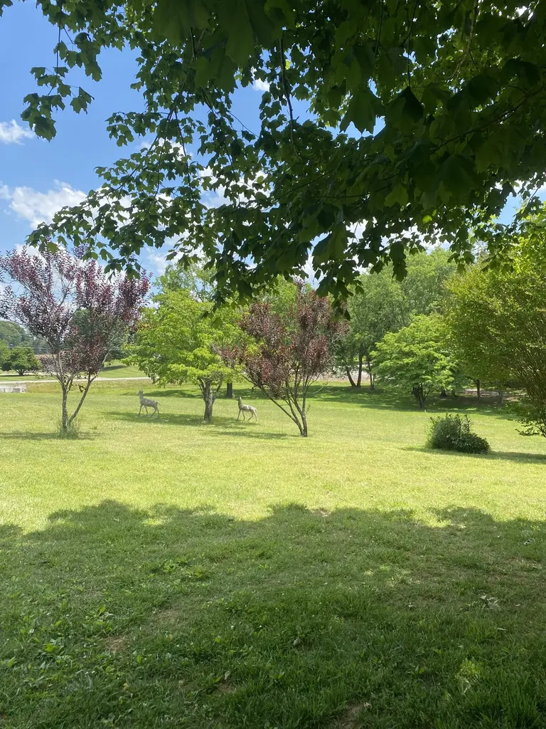 1655 New Deal Potts Road Portland TN 37148