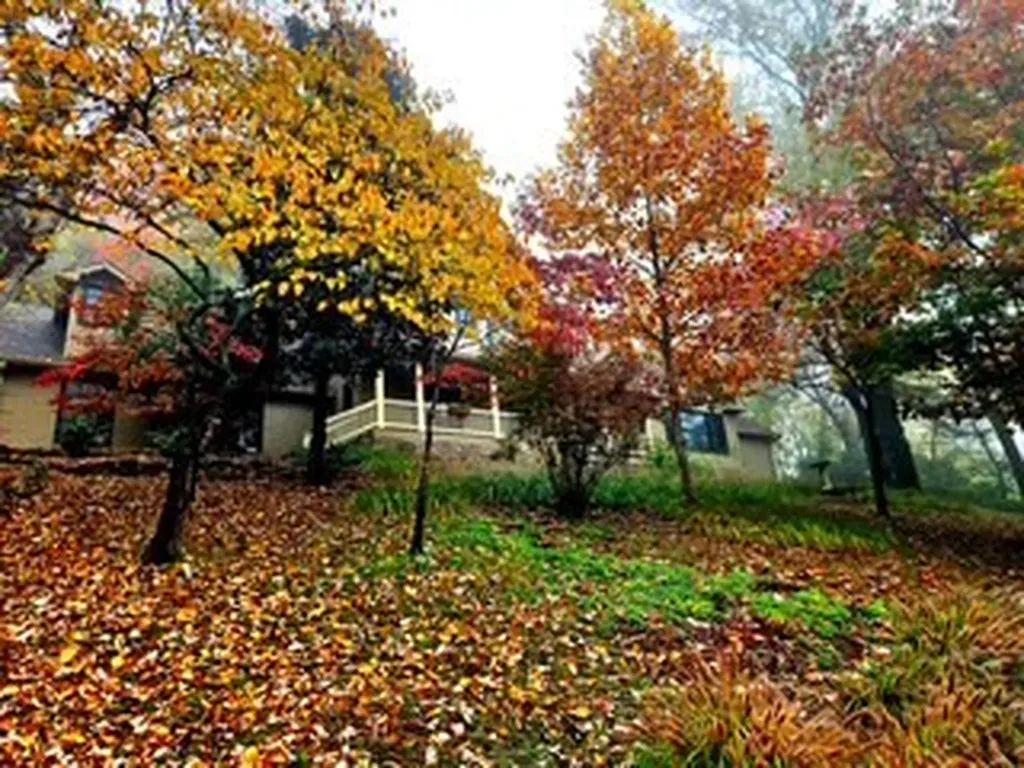 433 Grayson Drive Nashville TN 37205