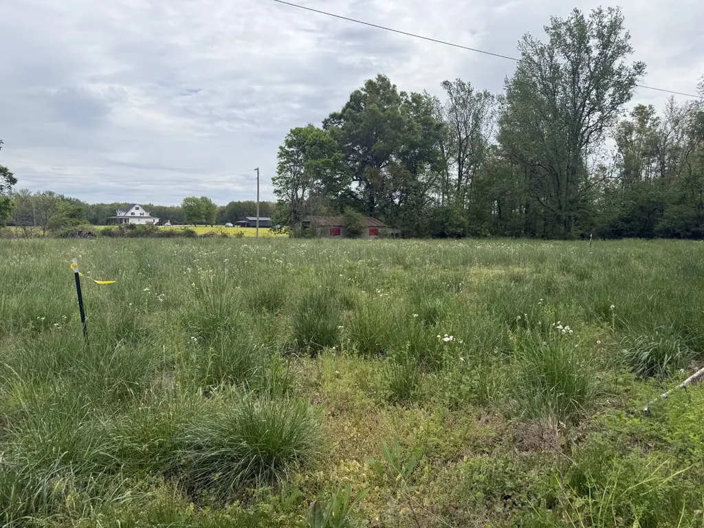 1459 Pete Sain Road Manchester TN 37355