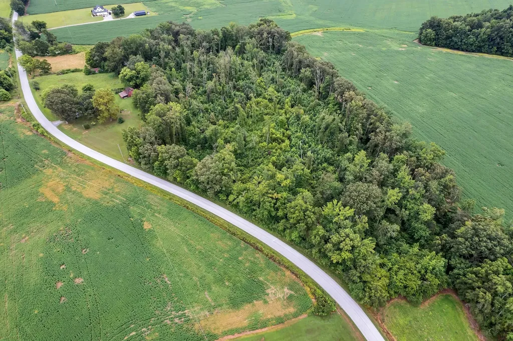 1459 Pete Sain Road Manchester TN 37355