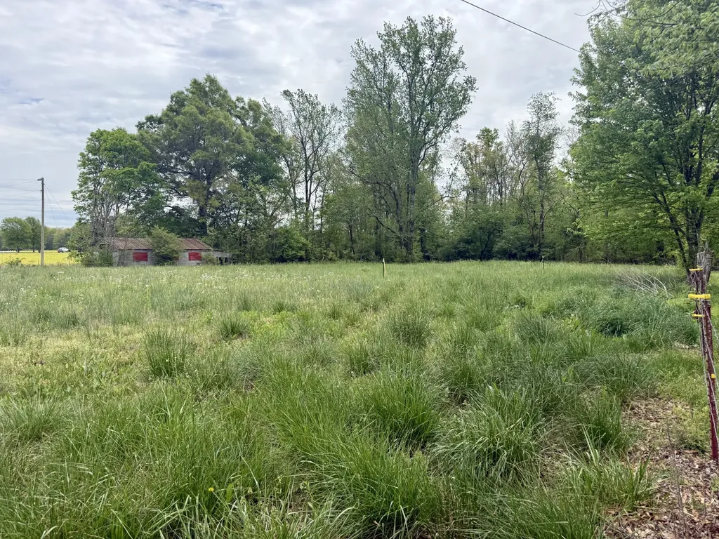 1459 Pete Sain Road Manchester TN 37355