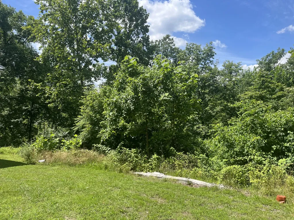 2222 Valley View Road Joelton TN 37080