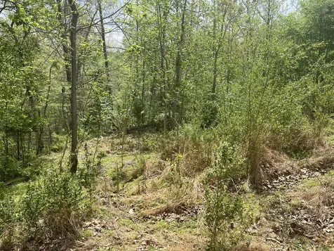 2222 Valley View Road Joelton TN 37080