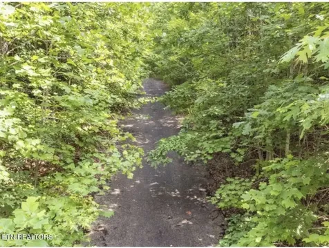 228 Crystal Springs Road Rockwood TN 37854