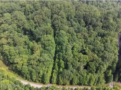 228 Crystal Springs Road Rockwood TN 37854