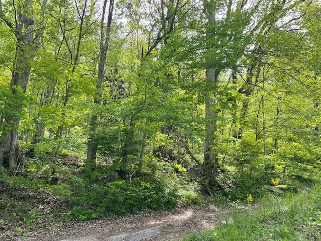 0 Bruer Drive Smithville TN 37166