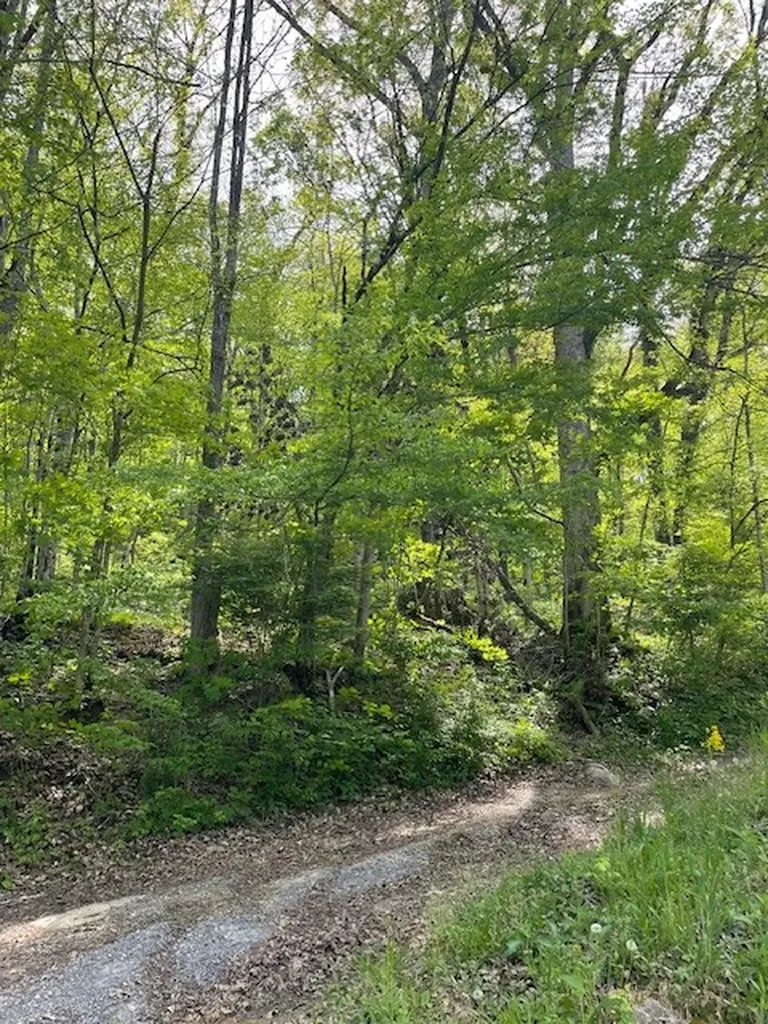 0 Bruer Drive Smithville TN 37166