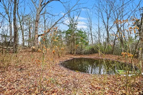 1422 Canoe Branch Road Lebanon TN 37087