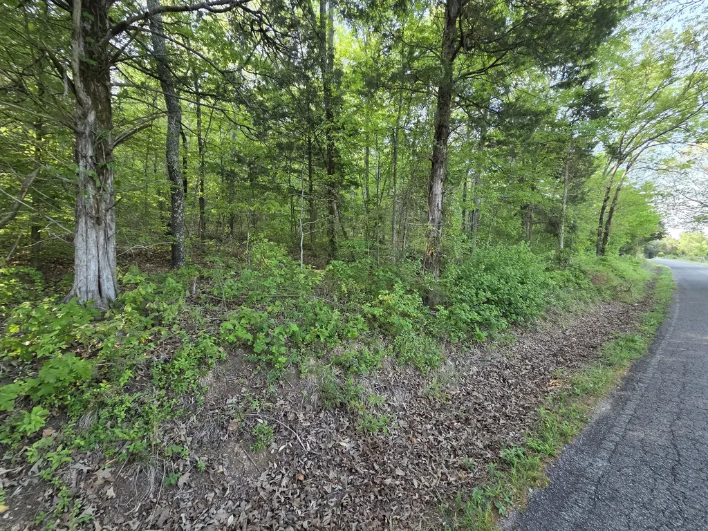 0 Red Bank Road Lobelville TN 37097