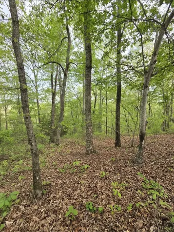 0 Red Bank Road Lobelville TN 37097