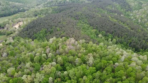 0 Red Bank Road Lobelville TN 37097