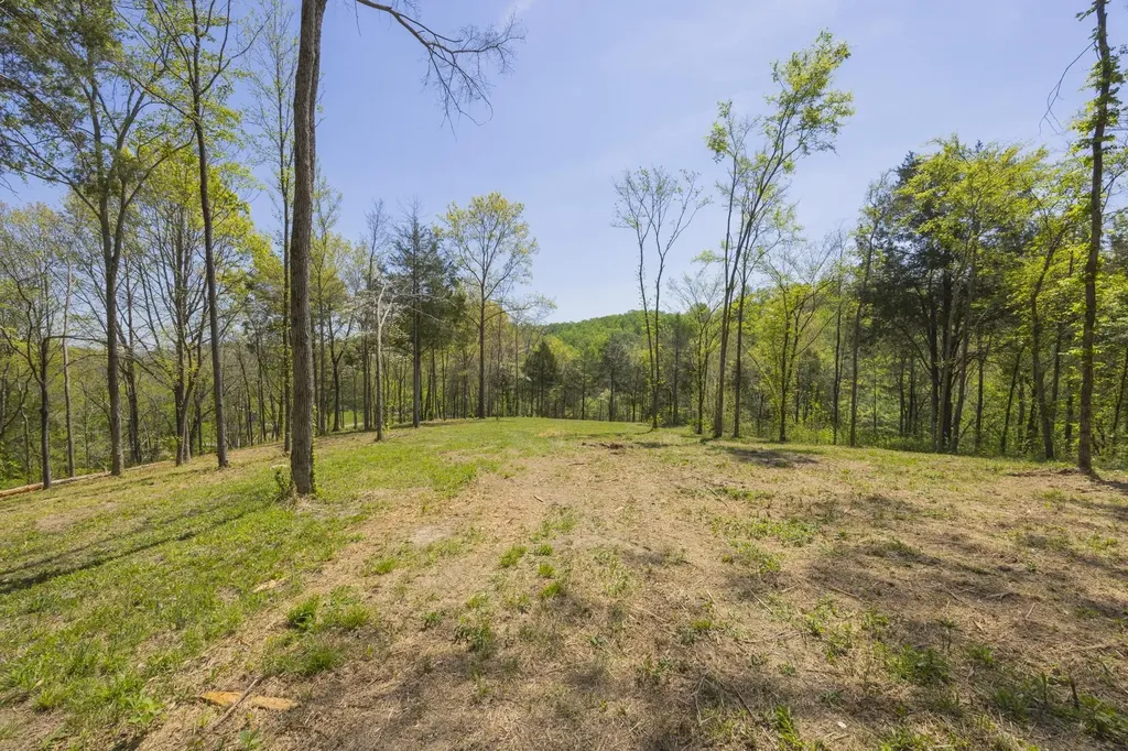 1 Johnson Hollow Road Thompsons Station TN 37179