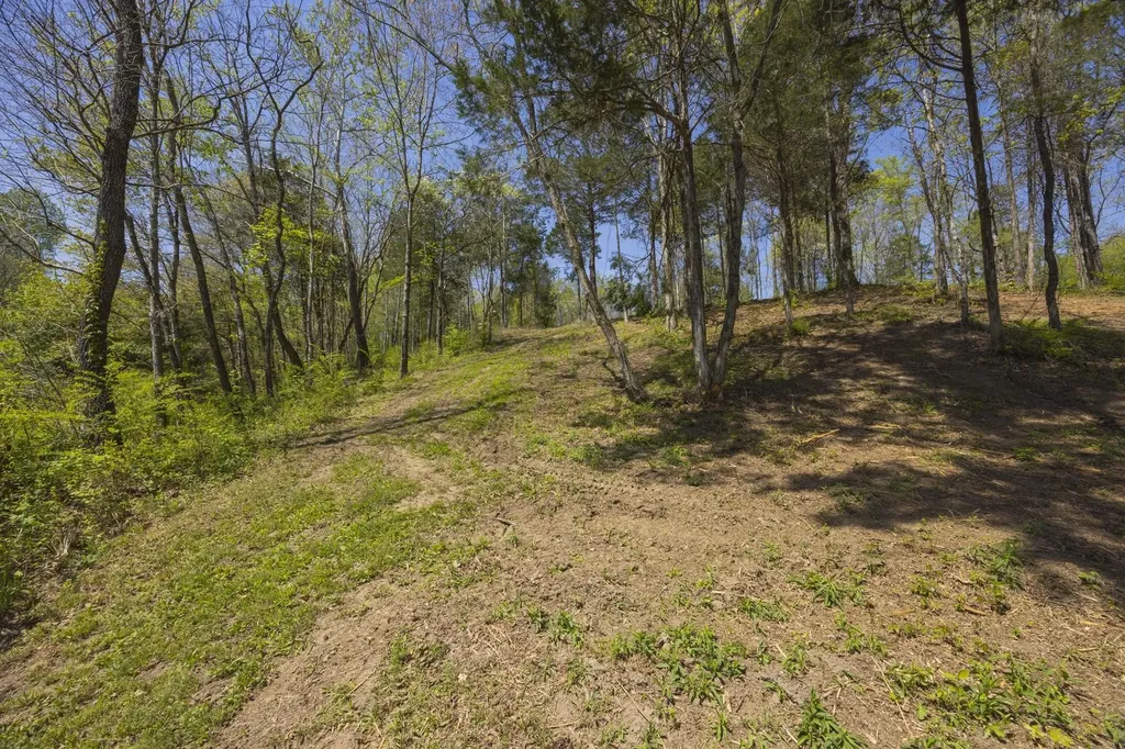 1 Johnson Hollow Road Thompsons Station TN 37179