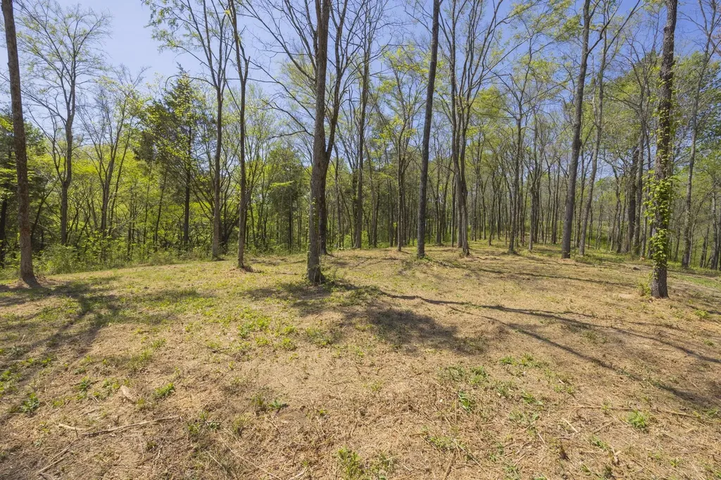 1 Johnson Hollow Road Thompsons Station TN 37179