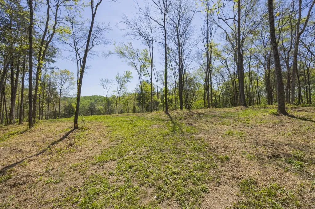 1 Johnson Hollow Road Thompsons Station TN 37179