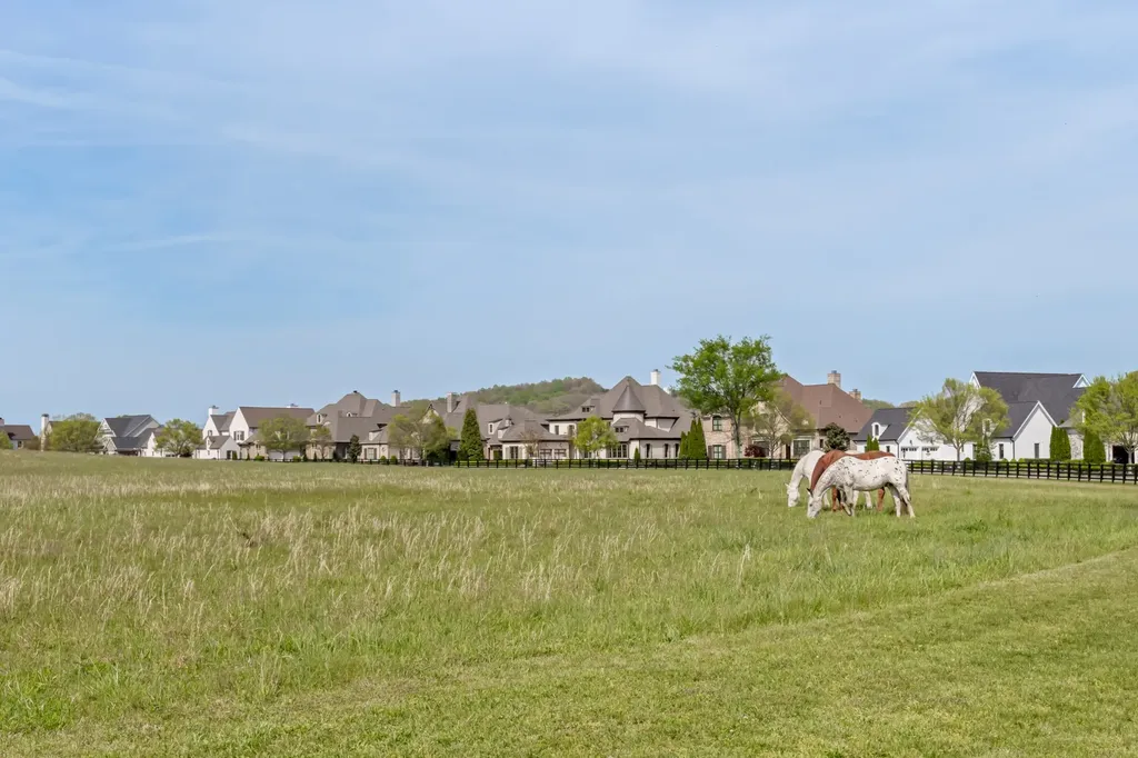 5053 Native Pony Trail College Grove TN 37046
