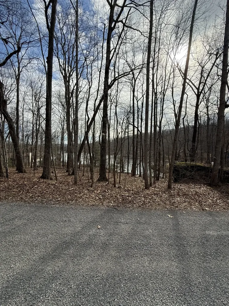 223 Dublin Lane Crossville TN 38558