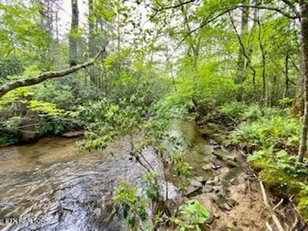 1345 Albert Frye Road Crossville TN 38571