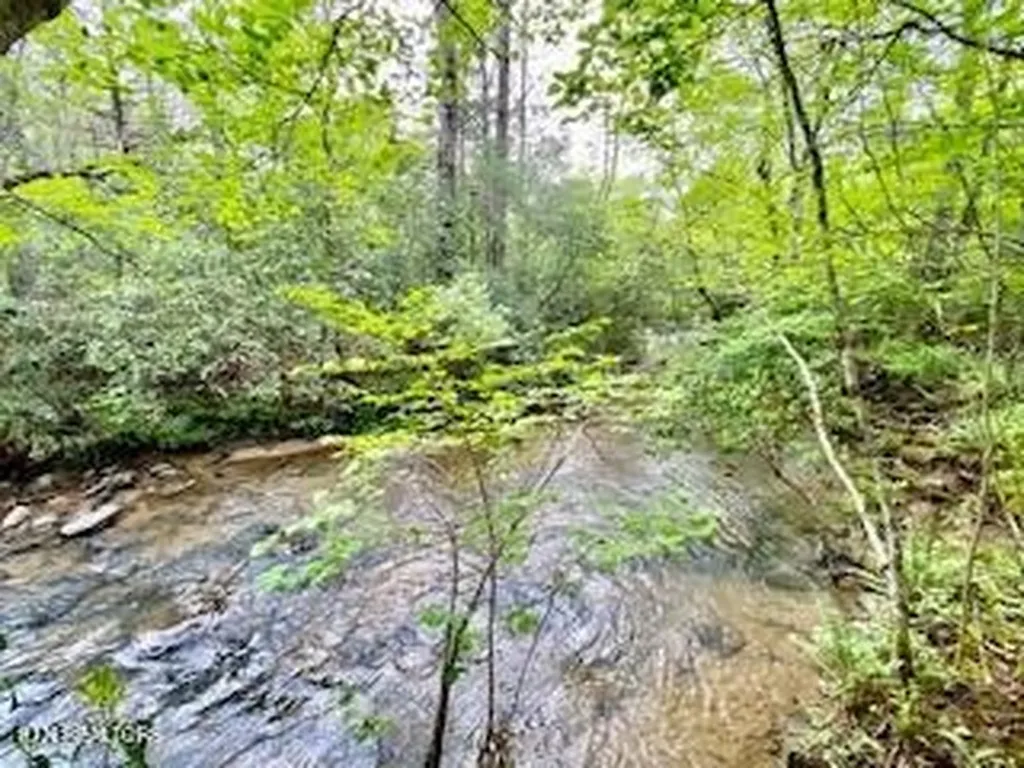 1345 Albert Frye Road Crossville TN 38571