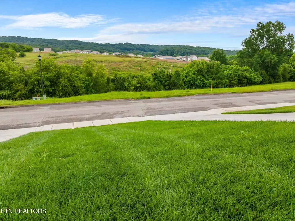 1032 Patriots Landing Dandridge TN 37725
