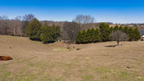 2917 Cobble Lane Morristown TN 37813