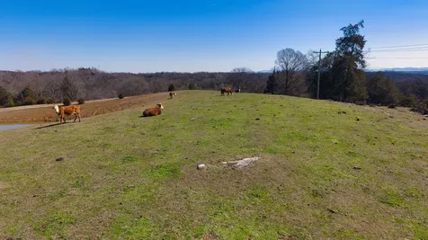 2917 Cobble Lane Morristown TN 37813