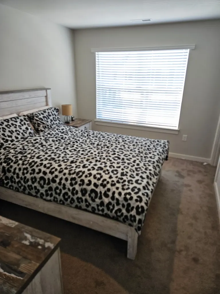 4222 Gandalf Lane Murfreesboro TN 37128