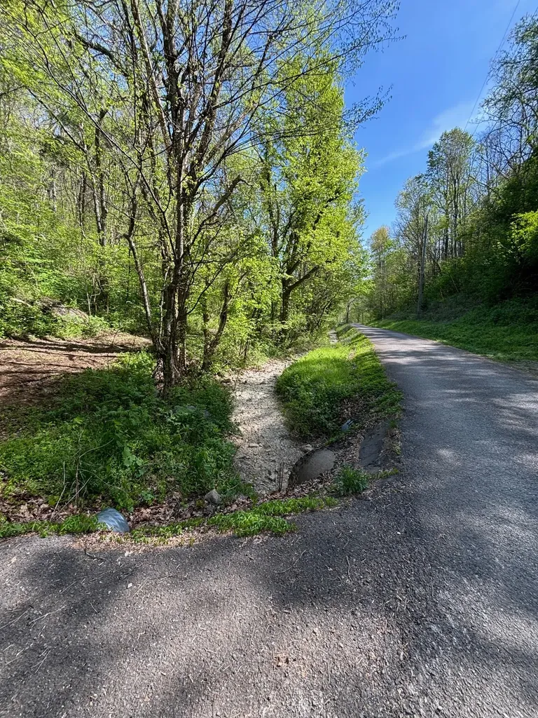 7792 Burks Road Christiana TN 37037