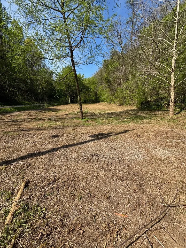 7792 Burks Road Christiana TN 37037