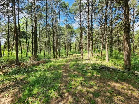 0 Murray Kittrell Road Readyville TN 37149