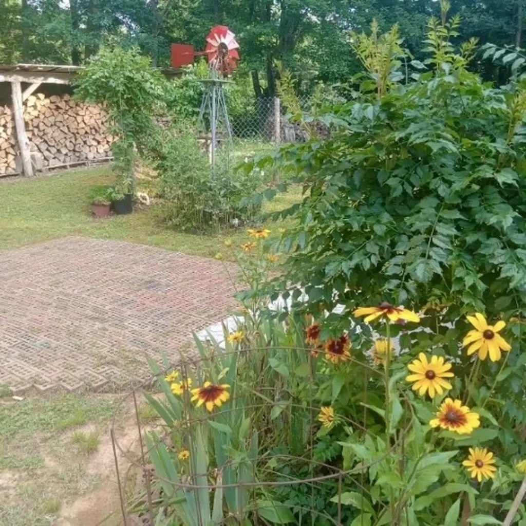 3162 Northcutts Cove Road Beersheba Springs TN 37305