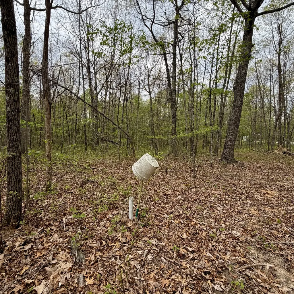 3162 Northcutts Cove Road Beersheba Springs TN 37305
