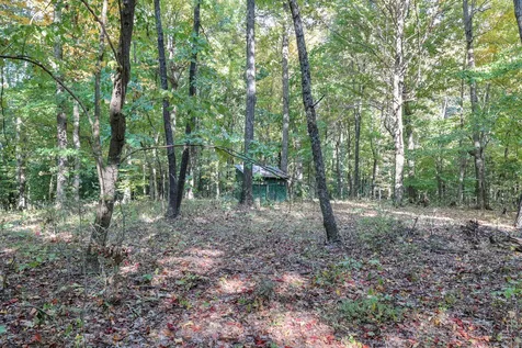 796 Daisy Circle Cumberland Furnace TN 37051