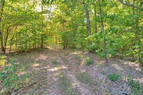 796 Daisy Circle Cumberland Furnace TN 37051