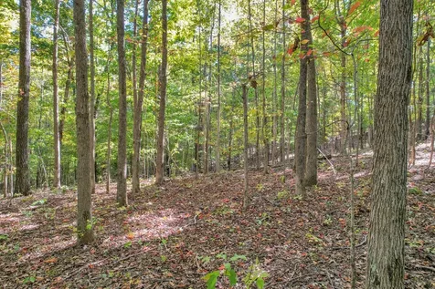 796 Daisy Circle Cumberland Furnace TN 37051