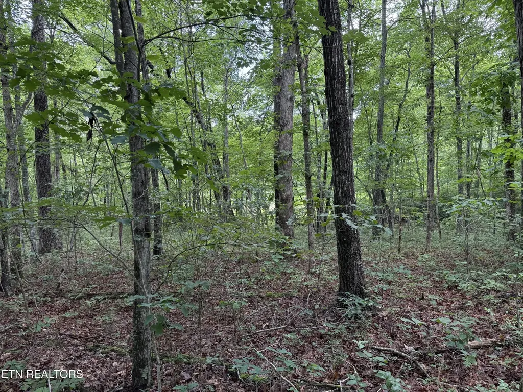 0 Icy Cove Trail Monterey TN 38574