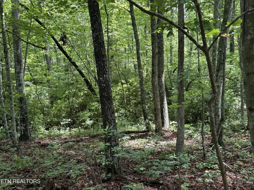 0 Icy Cove Trail Monterey TN 38574