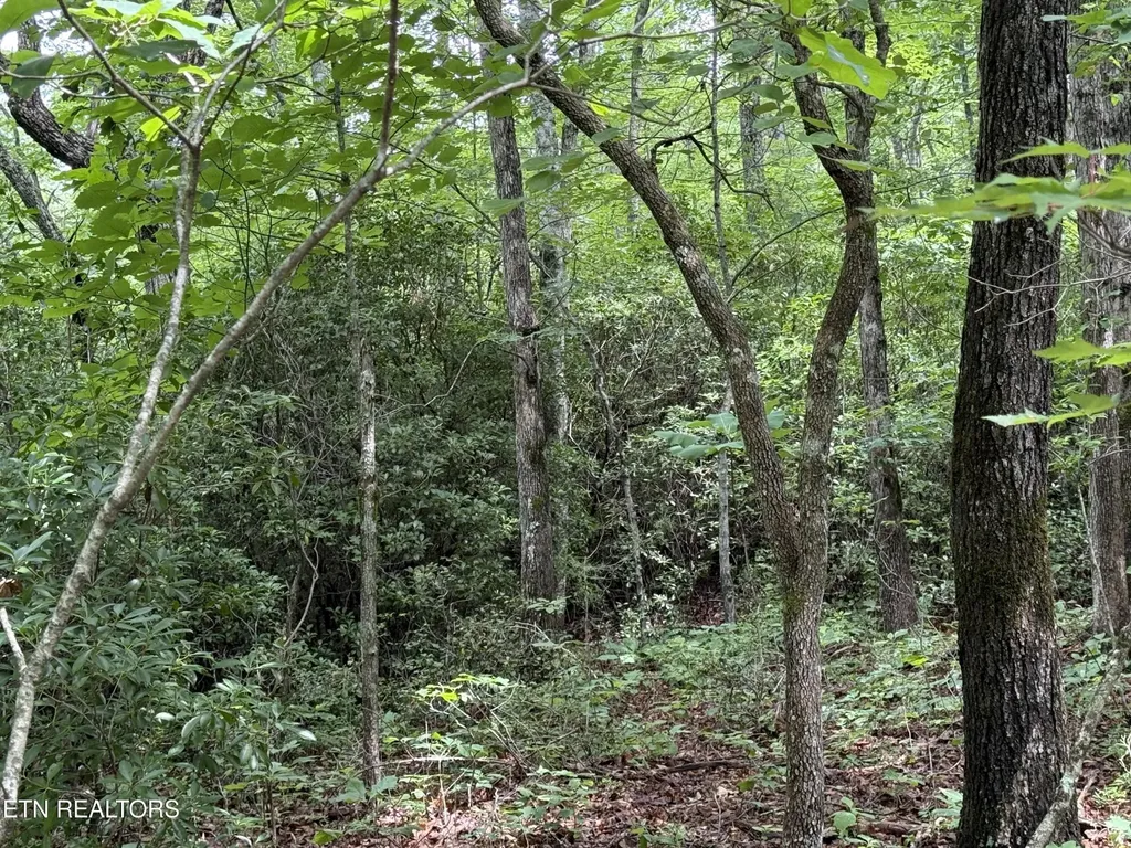 0 Icy Cove Trail Monterey TN 38574