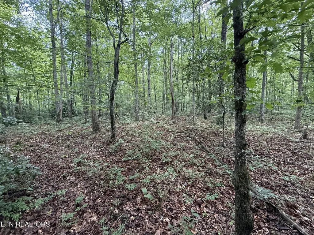0 Icy Cove Trail Monterey TN 38574