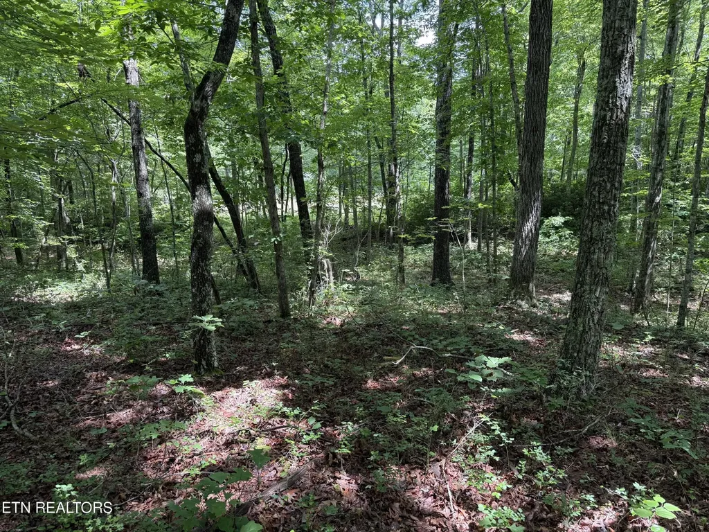 0 Icy Cove Trail Monterey TN 38574