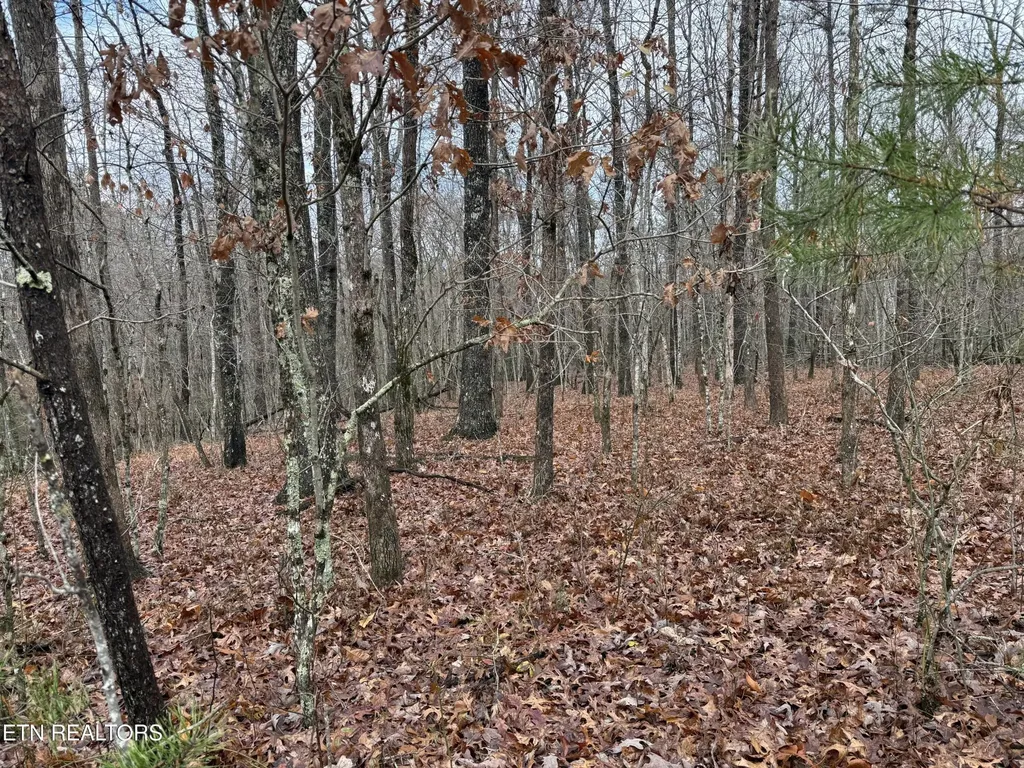0 Icy Cove Trail Monterey TN 38574