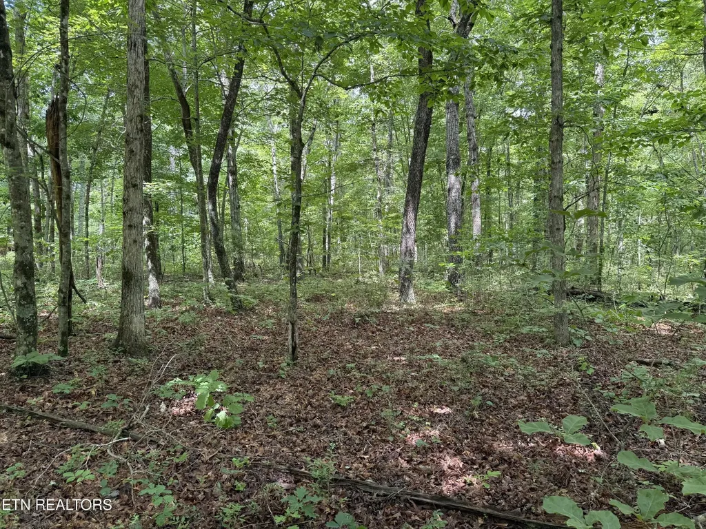 0 Icy Cove Trail Monterey TN 38574